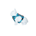 Freedog Boreal kaprisinised traksid koerale 15mm 34-63cm