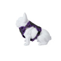 Freedog Boreal sirelilillad traksid koerale 15mm 34-63cm