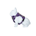 Freedog Boreal sirelilillad traksid koerale 20mm 38-75cm