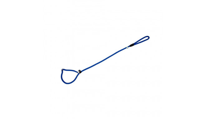 Freedog sinine kaelarihm-jalutusrihm koerale 10mm x 120cm