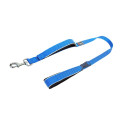Freedog Extreme nailonist sinine jalutusrihm koerale 20mm x 180cm
