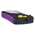 Ermenrich Ping RD50 kiirgusdetektor