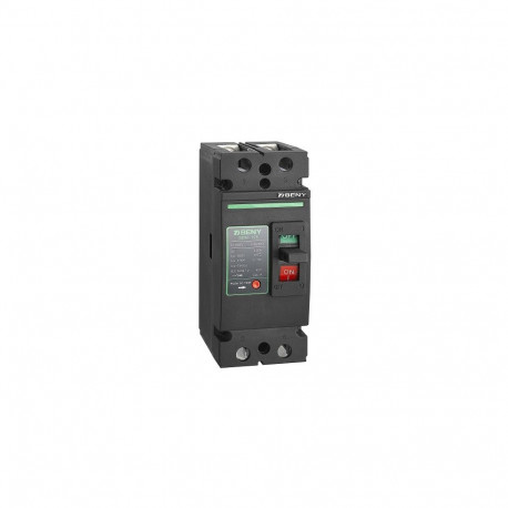 DC Circuit Breaker - 2P, 125A, 500VDC