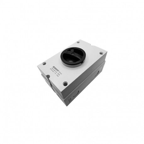 AC Isolator Switch - 2P, 63A, 230VAC, IP65