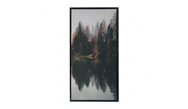 Seinapilt WALLY 30x60cm, mets C