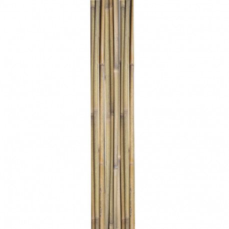 Bamboo canes IN GARDEN H180cm 10pcs/set D12/14mm