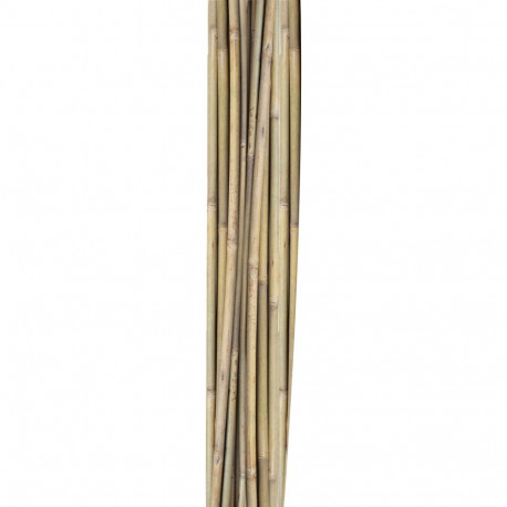 Bamboo canes IN GARDEN H150cm 10pcs/set D10/12mm
