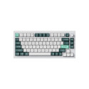 Keychron Q1 HE Wireless Keyboard RGB Nebula Magnetic Switch (White) [Q1H-P1].