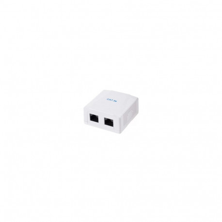 Seinakarp Cat5e 2-le RJ45 UTP Jack&Box