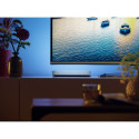 Philips Hue Play WCA valgusriba laiendus, valge|42 W|2000-6500 Hue White Colour Ambiance