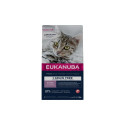 Dry food for kittens - Eukanuba CAT KITTEN GRAIN FREE Salmon 2 kg
