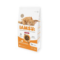 Dry food for cats - IAMS CAT ADULT INDOOR CHICKEN, 2 kg