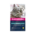 Eukanuba CAT Adult TOP CONDITION 1+ kana kuivtoit kassidele 2 kg