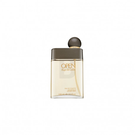 Roger & Gallet Open Eau de Toilette for men 100 ml
