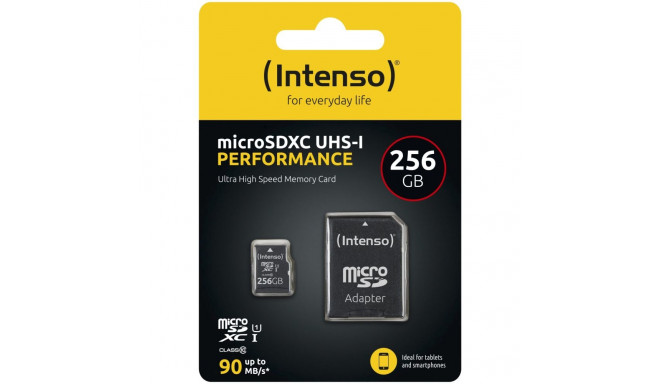 Intenso microSD-kaart Class10 UHS-I 256GB mälukaart