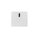 Low Voltage Battery Module SolarEdge Home - 4.6kWh