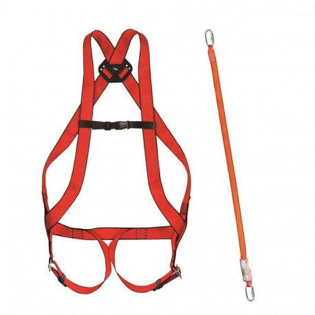 BASIC set 10+shock absorber 31A 30/30+carab.