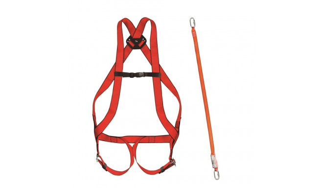 BASIC set 10+shock absorber 31A 30/30+carab.