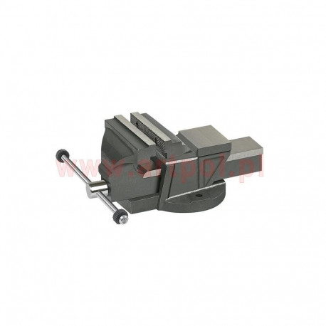 FIXED CAST IRON VICE 100mm/AR