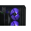 Actina 5901443410256 PC Intel® Core™ i5 i5-12400F 32 GB DDR5-SDRAM 1 TB SSD Intel Arc B580 midi towe