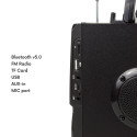 Audiocore bluetooth kaasaskantav kõlar, FM-raadio, SD/MMC kaardipesa, AUX, USB, puldiga, AC730