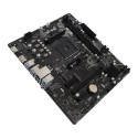 Biostar A520MT emaplaat