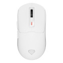 GENESIS NMG-2194 mouse Gaming Ambidextrous Bluetooth + USB Type-C Optical 26000 DPI