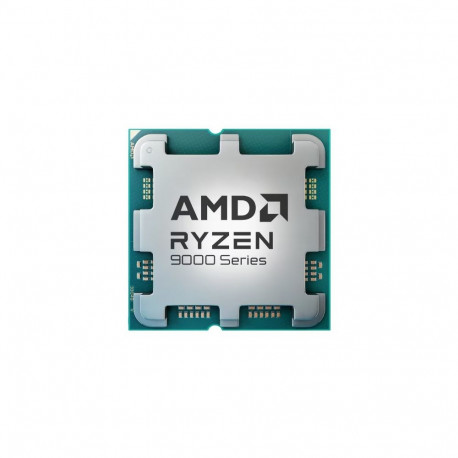 Protsessor AMD Ryzen 9 9900X Tray