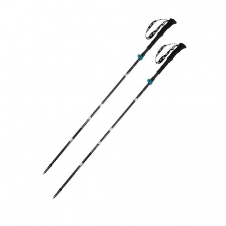 Expert Poles carbon-blue VOLVEN