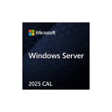 Microsoft Windows Server CAL 2022 Client Access License (CAL) 1 license(s)