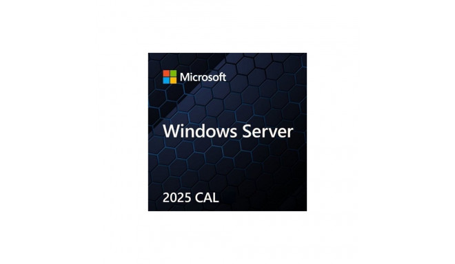 Microsoft Windows Server CAL 2022 Client Access License (CAL) 1 license(s)