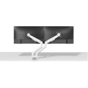 Neomounts DS70-250WH2 Monitor arm 17-32" - gas spring - Topfix - 180°-stop