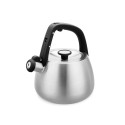 Kettle Maestro MR-1318 2,5 l Silver, Black