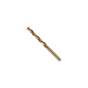 IRWIN 10502530 puuriotsak Keerdpuur 10 tk.
