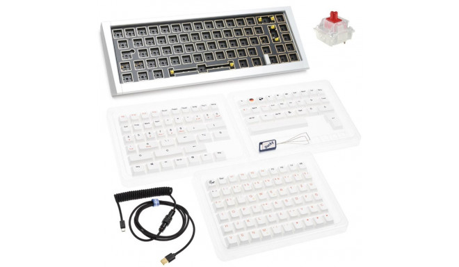 Ducky Outlaw 65 klaviatuur universaalne USB hõbedane