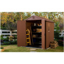 Keter DARWIN Plastic shed