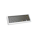 Ducky Outlaw 65 klaviatuur universaalne USB US inglise hõbedane