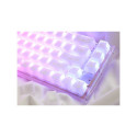 Ducky One 3 SF klaviatuur Mängimine USB Valge