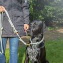 Dog Training Collars Trixie Soft Rope Green Mint M 45 cm Dog Training Collars Trixie Soft Rope Green Mint M 45 cm