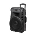 Aktywna kolumna głośnikowa (z 2 mikrofonami bezprzewodowymi UHF, SD, Bluetooth, FM, USB) 40 Watt
