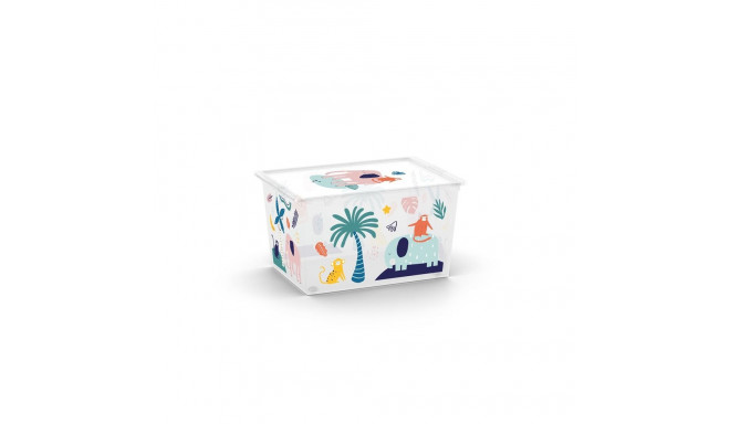 BOXSTORAGE WITH LID C BOX50L