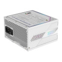 Power Supply|GIGABYTE|GP-AE1000PM PG5 ICE|1000 Watts|Efficiency 80 PLUS PLATINIUM|PFC Active|MTBF 10