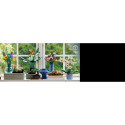 LEGO Icons toy blocks Tiny Plants (10329)