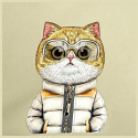 NIMMY crossbody COOL&CUTE 2.0 Cat khaki NIMMY crossbody COOL&CUTE 2.0 Cat khaki