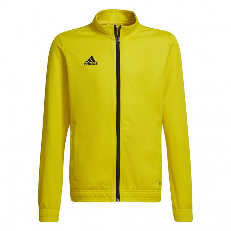 Adidas laste dressipluus Entrada 22 HI2139 176cm, kollane