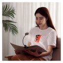 Baseus mini lamp LED lamp with clip gray (DGRAD-0G)