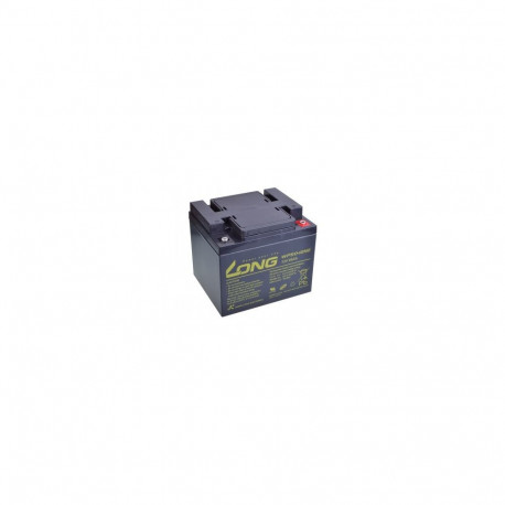 LONG 12V 50AH LEAD-ACID BATTERY DEEPCYCLE AGM M6 (WP50-12NE)