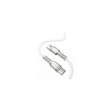 Baseus Cafule Series Metal Data USB Type C to USB Typ C 100W, 1m White