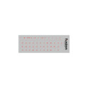 Fusion Accessories "Laminated Stickers RU / ENG" Transparent/Red