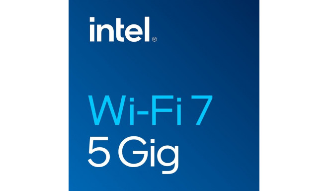"INTG INTEL WI-FI 7 BE200 2230 2x2 BE+BT vPro"